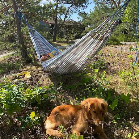 Cozy Summer By The Coast *